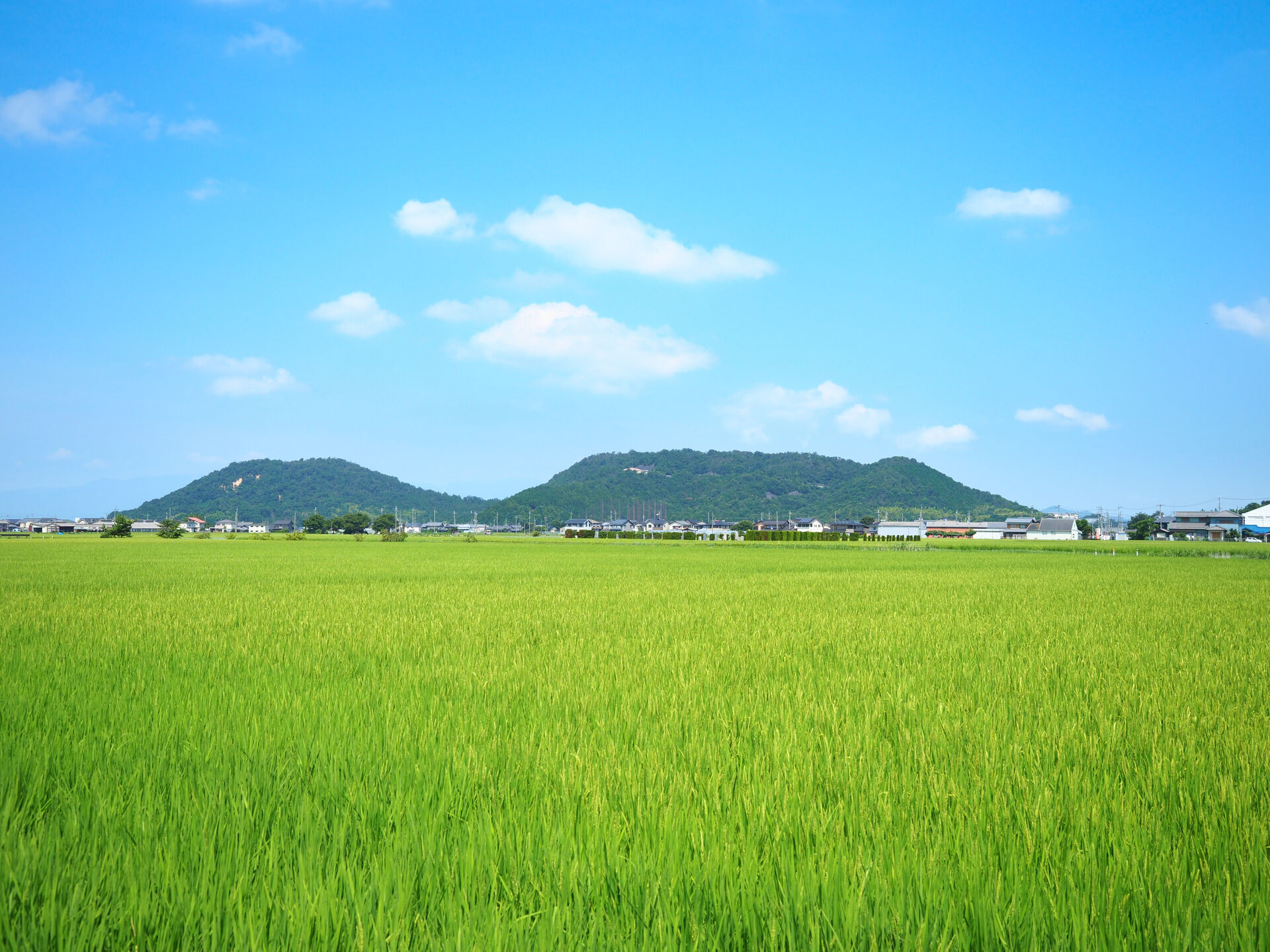 AdobeStock_284659009
